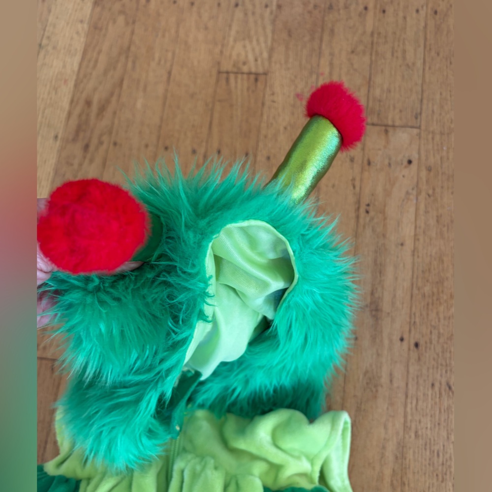 Very hungry caterpillar costume new with tags 4T - Picture 5 of 7